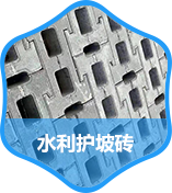 水利护坡砖